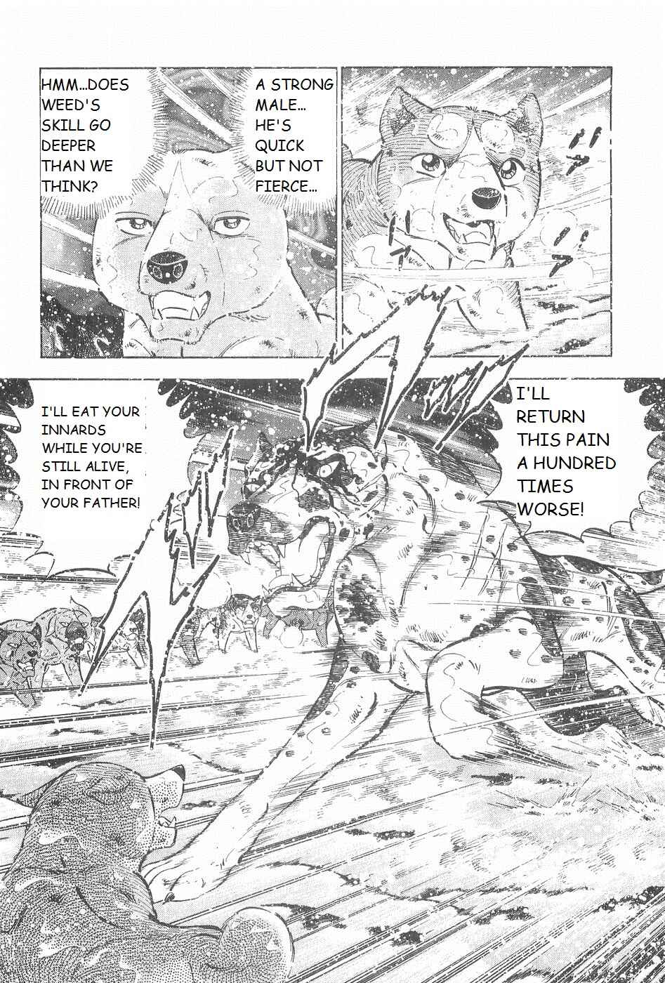 Page 7 Chapter 245 Ginga Densetsu Weed