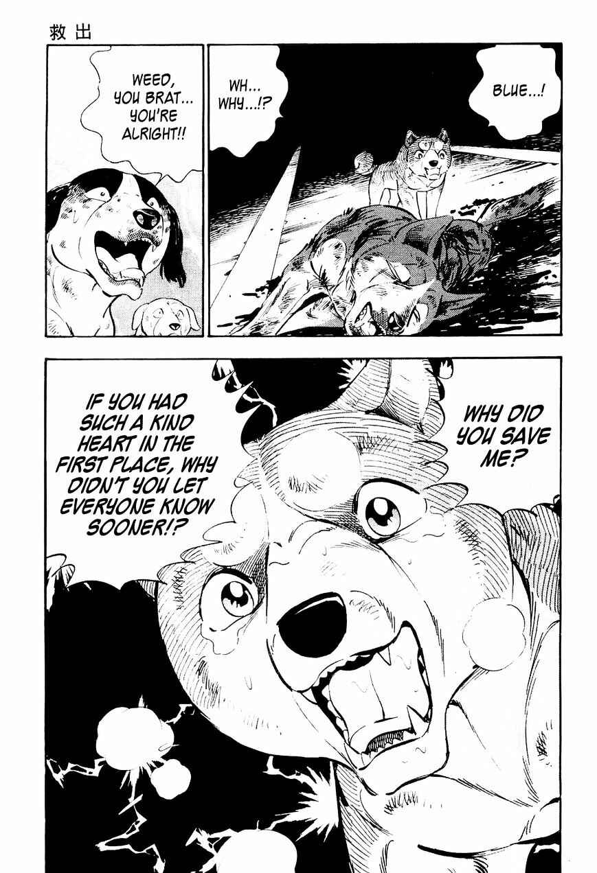Page 10 Chapter 12 Ginga Densetsu Weed