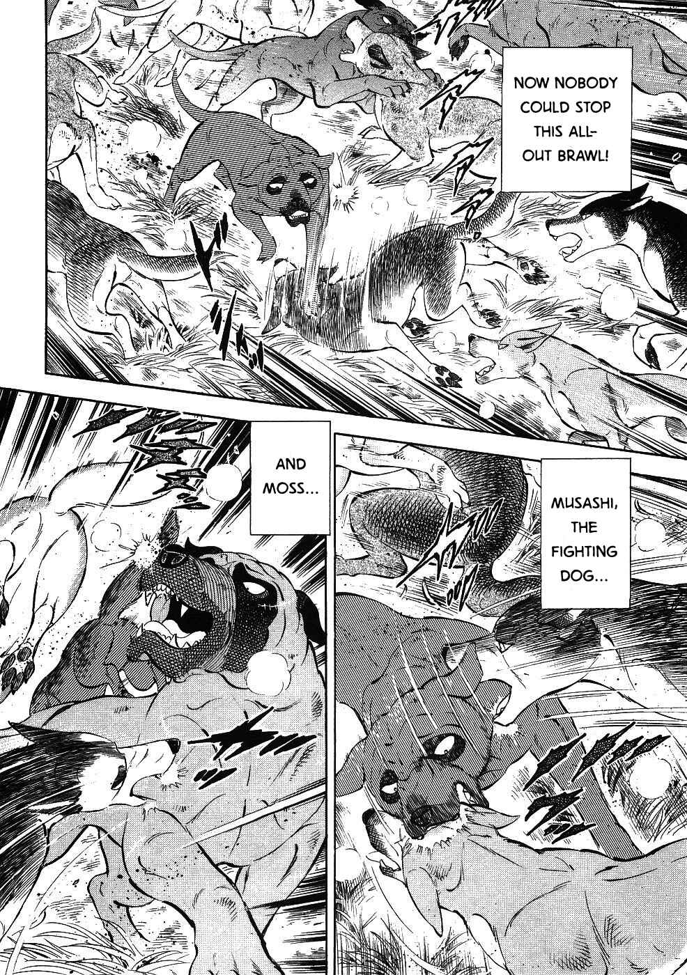 Page 13 Chapter 342 Ginga Densetsu Weed