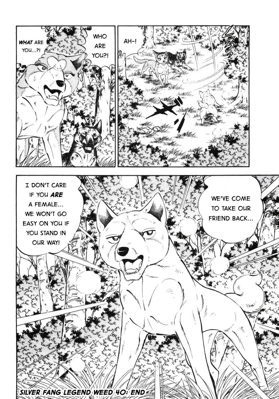 Page 21 Chapter 339 Ginga Densetsu Weed