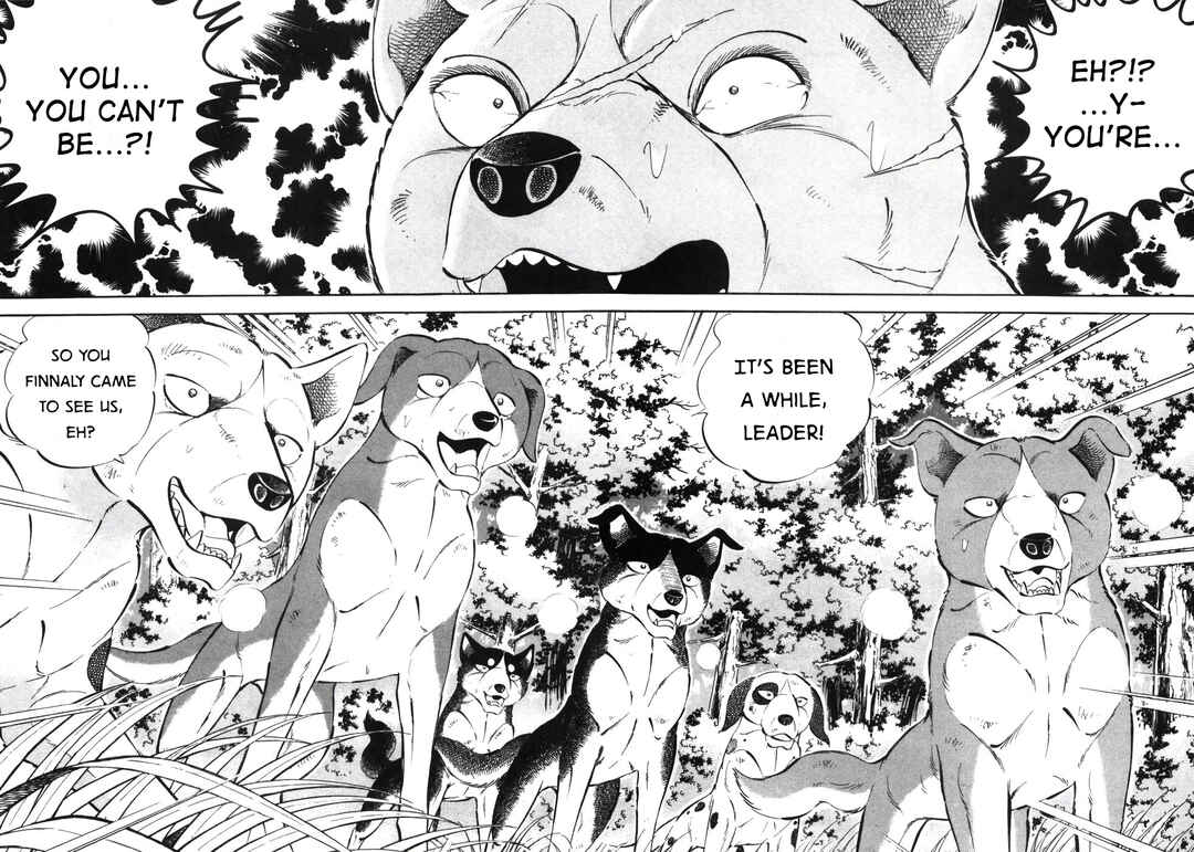 Page 5 Chapter 339 Ginga Densetsu Weed