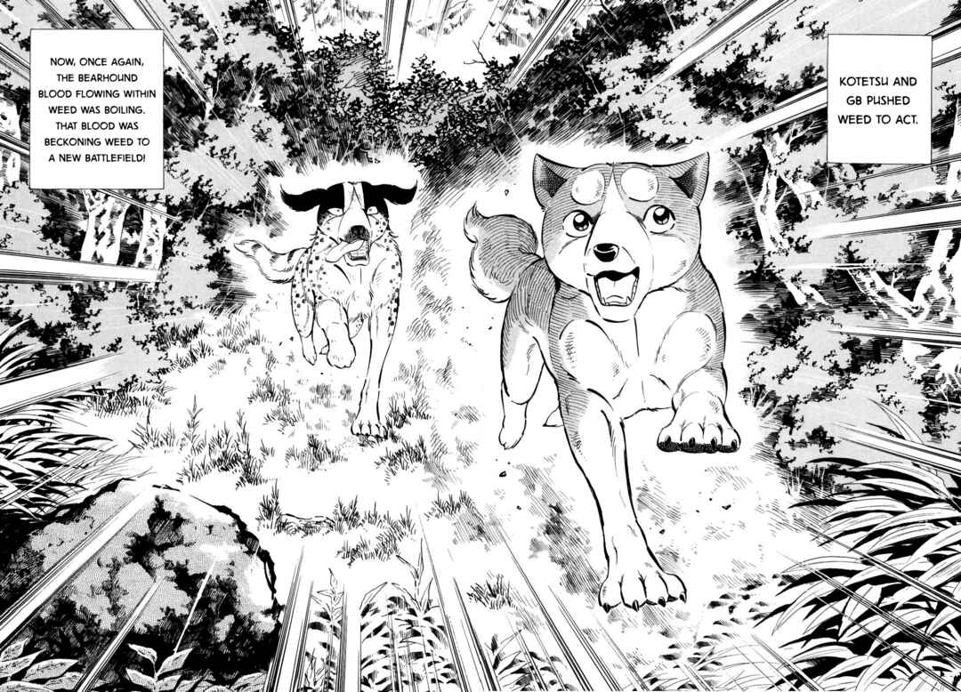 Page 20 Chapter 353 Ginga Densetsu Weed