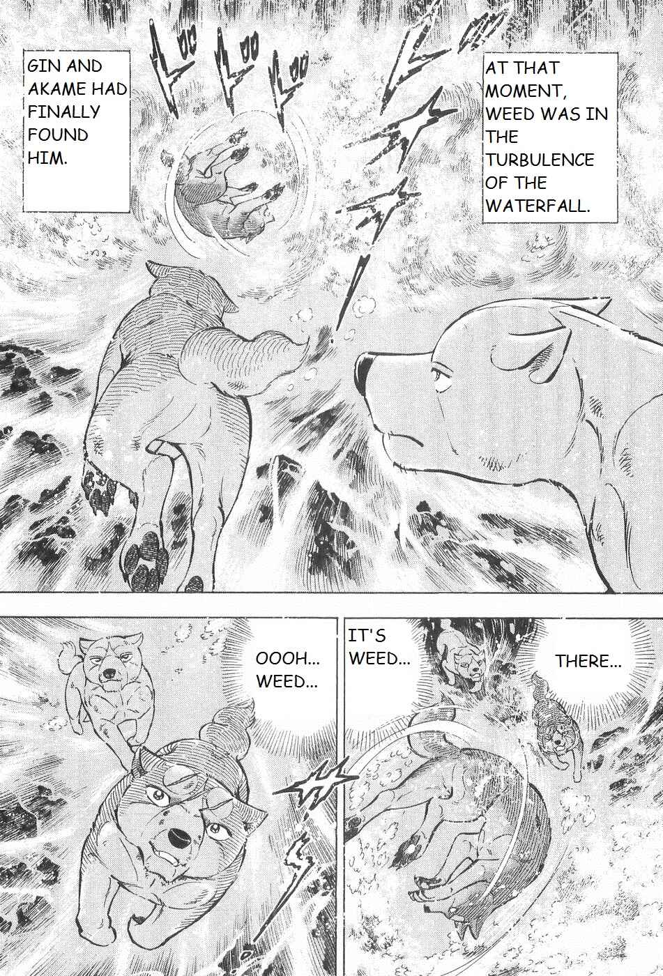 Page 12 Chapter 243 Ginga Densetsu Weed