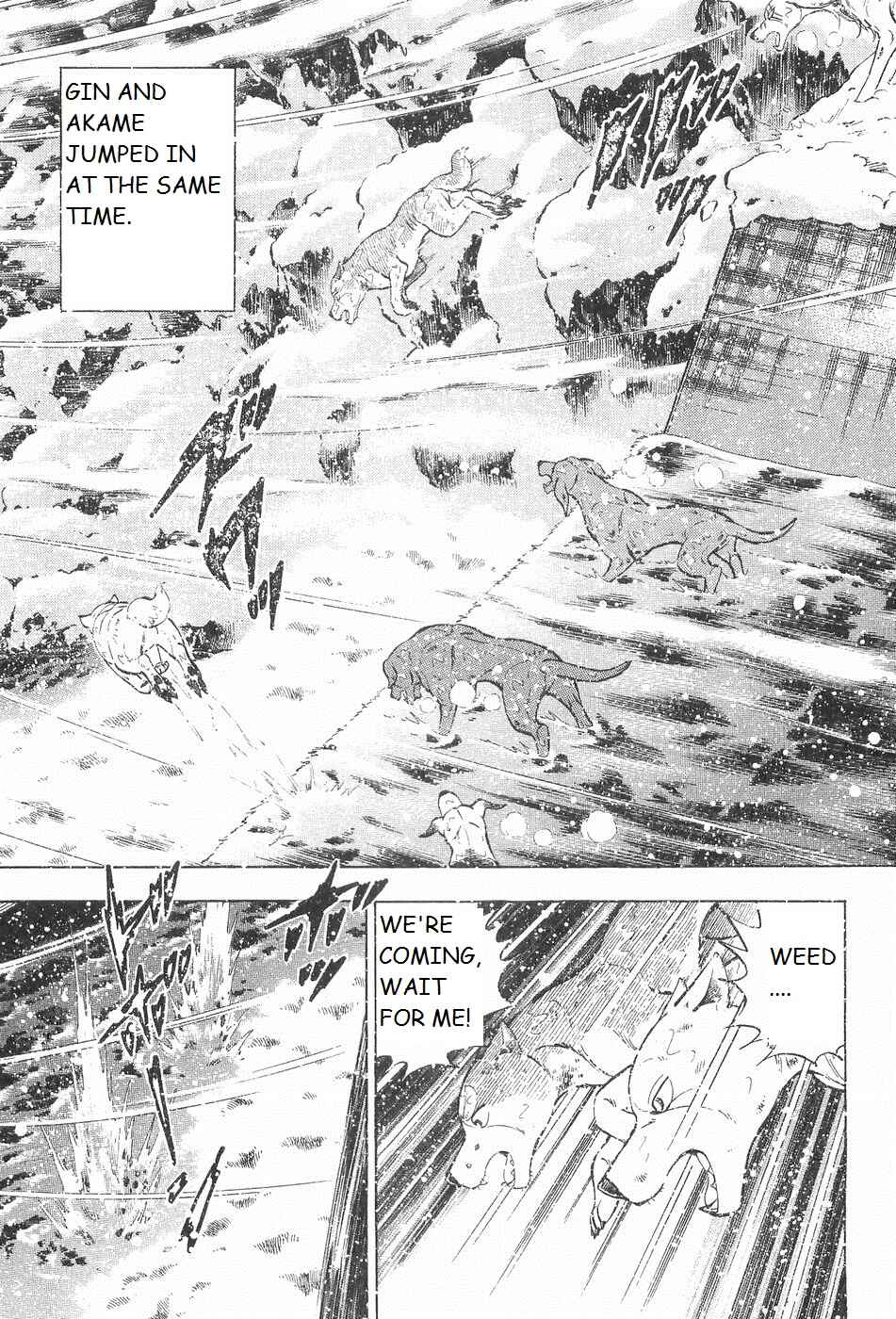 Page 5 Chapter 243 Ginga Densetsu Weed
