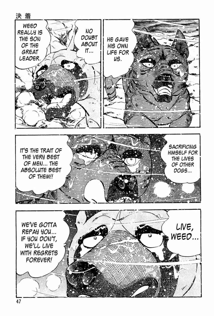 Page 21 Chapter 50 Ginga Densetsu Weed