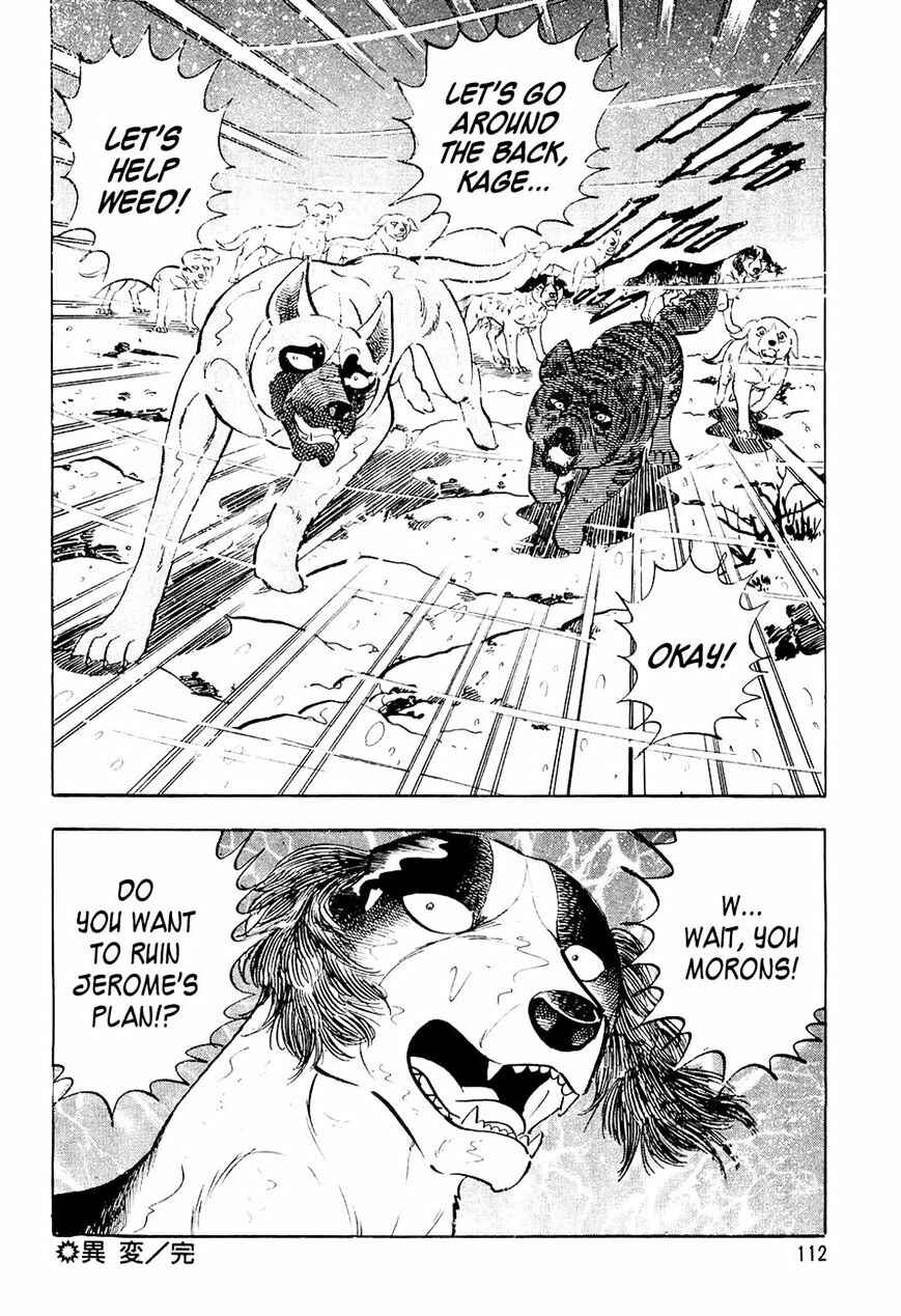 Page 23 Chapter 35 Ginga Densetsu Weed