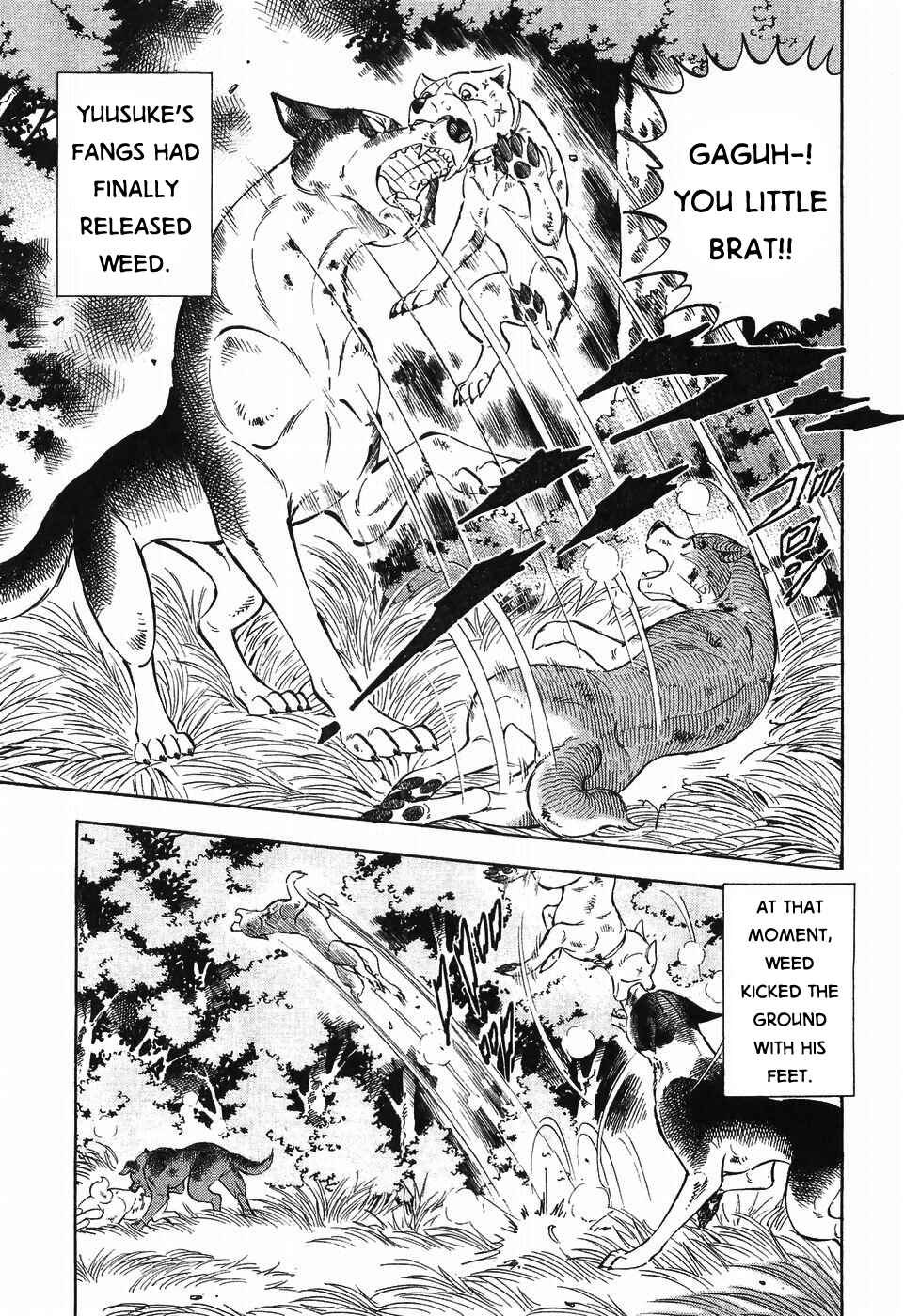 Page 13 Chapter 304 Ginga Densetsu Weed