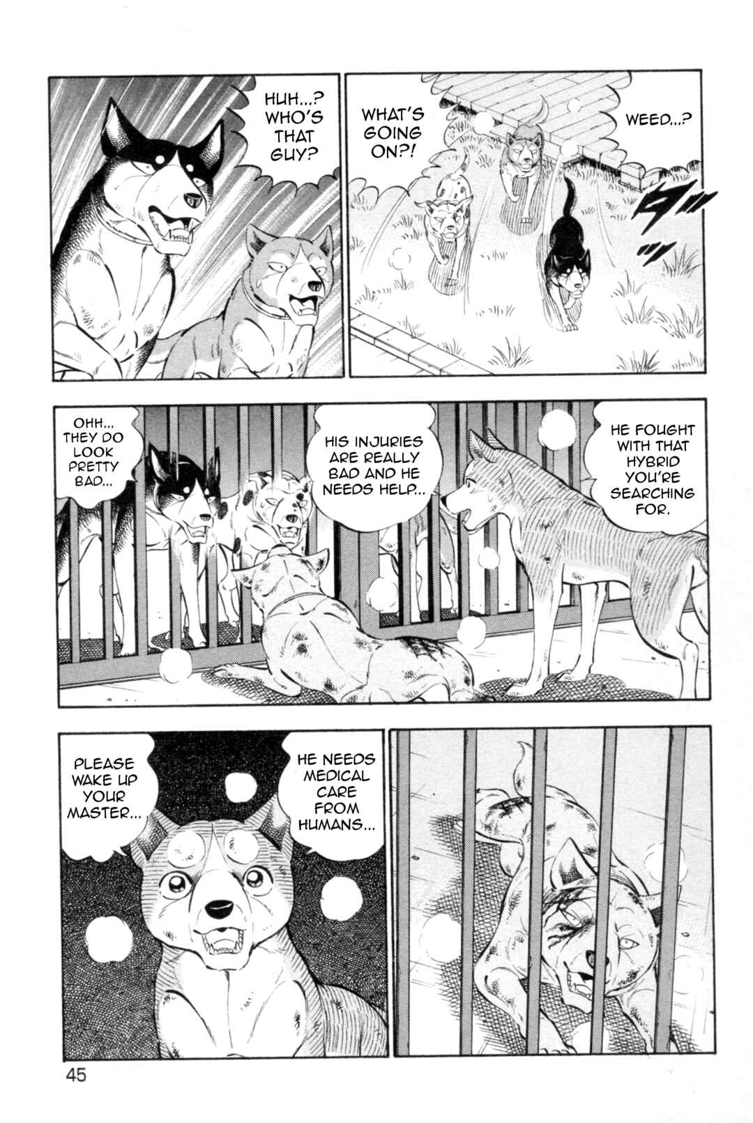 Page 13 Chapter 437 Ginga Densetsu Weed
