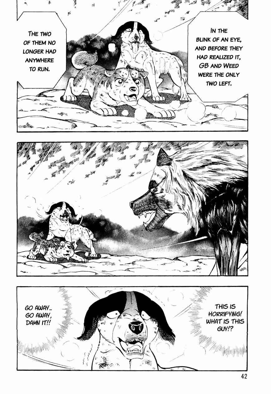 Page 19 Chapter 22 Ginga Densetsu Weed