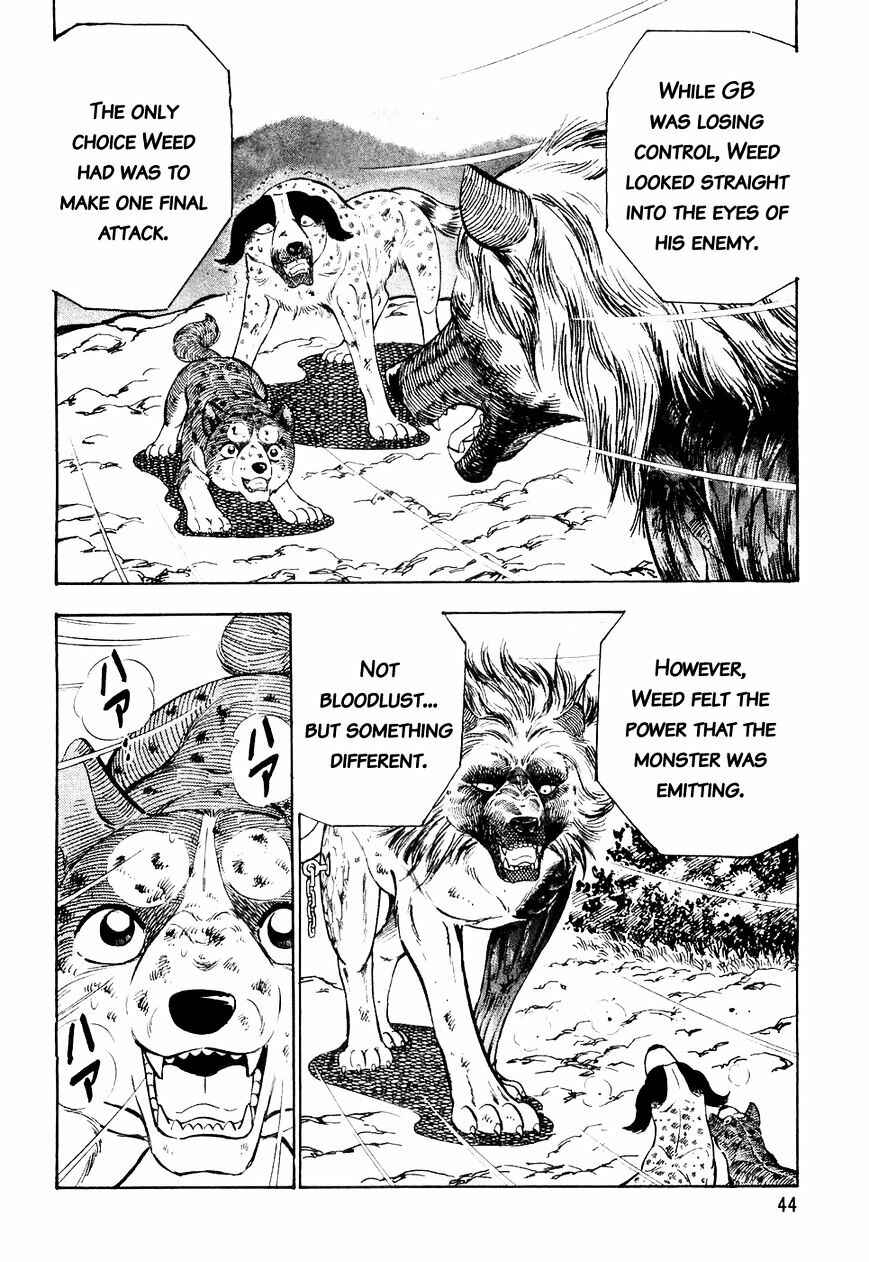 Page 21 Chapter 22 Ginga Densetsu Weed