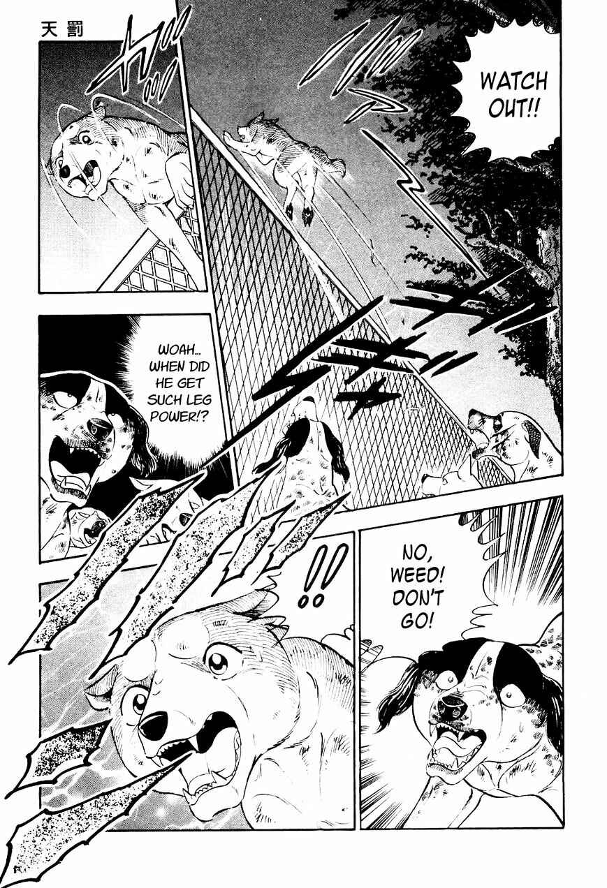Page 18 Chapter 11 Ginga Densetsu Weed