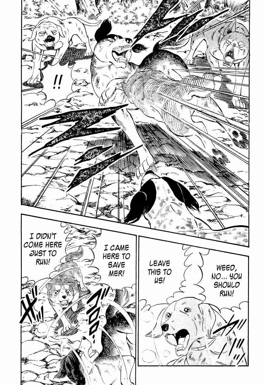 Page 14 Chapter 10 Ginga Densetsu Weed
