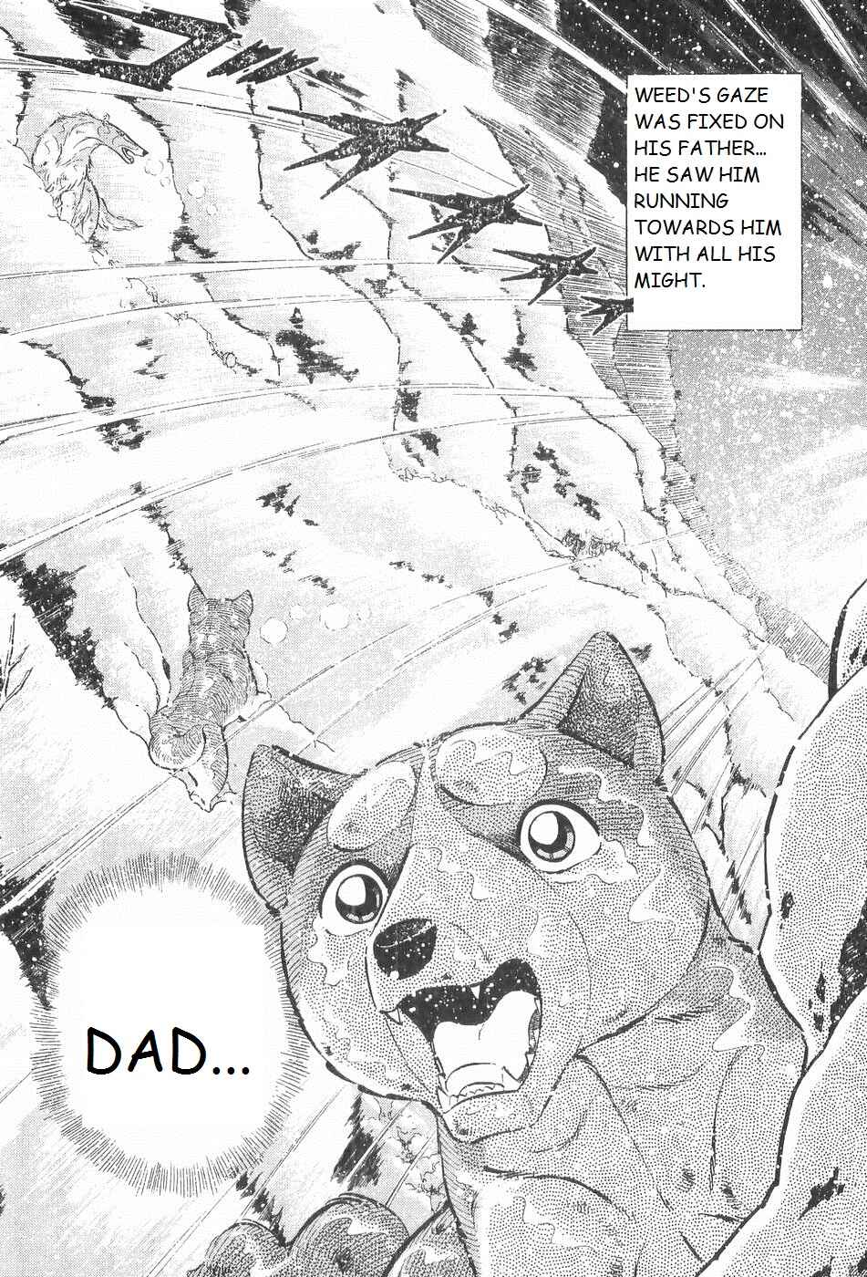 Page 2 Chapter 242 Ginga Densetsu Weed
