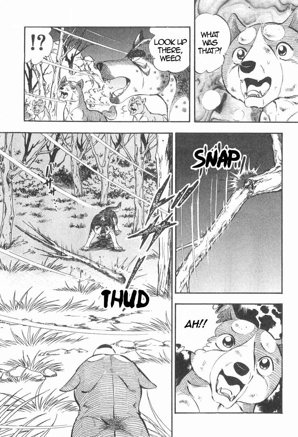 Page 17 Chapter 138 Ginga Densetsu Weed