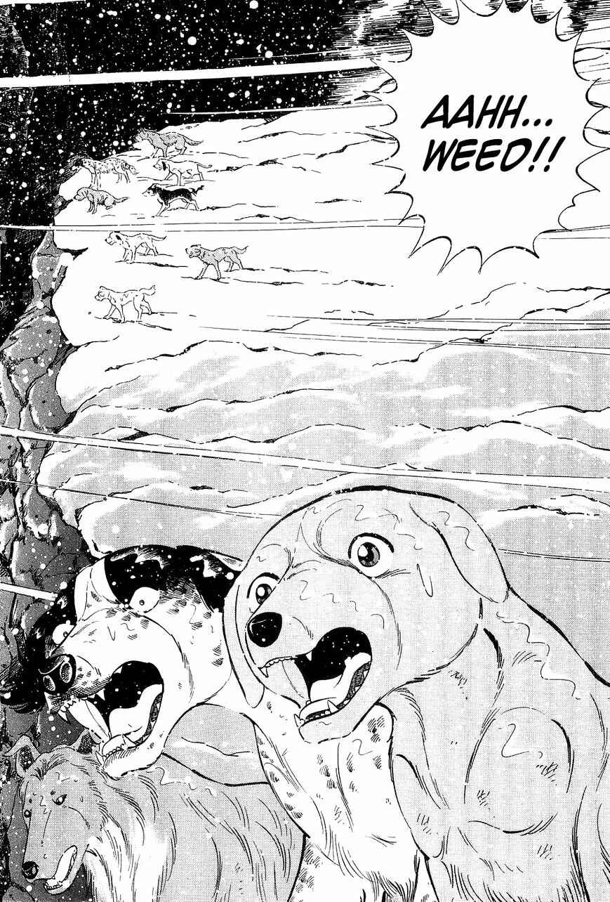 Page 3 Chapter 49 Ginga Densetsu Weed