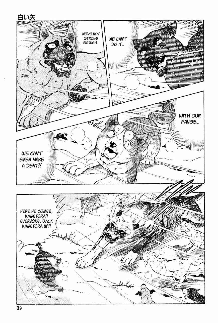 Page 14 Chapter 41 Ginga Densetsu Weed