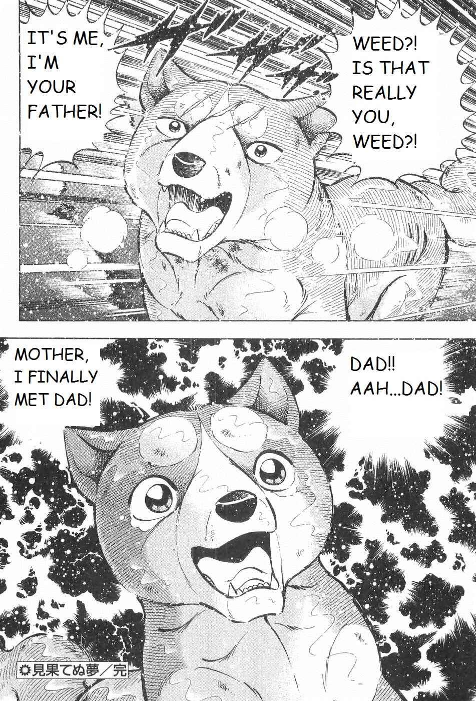 Page 20 Chapter 241 Ginga Densetsu Weed