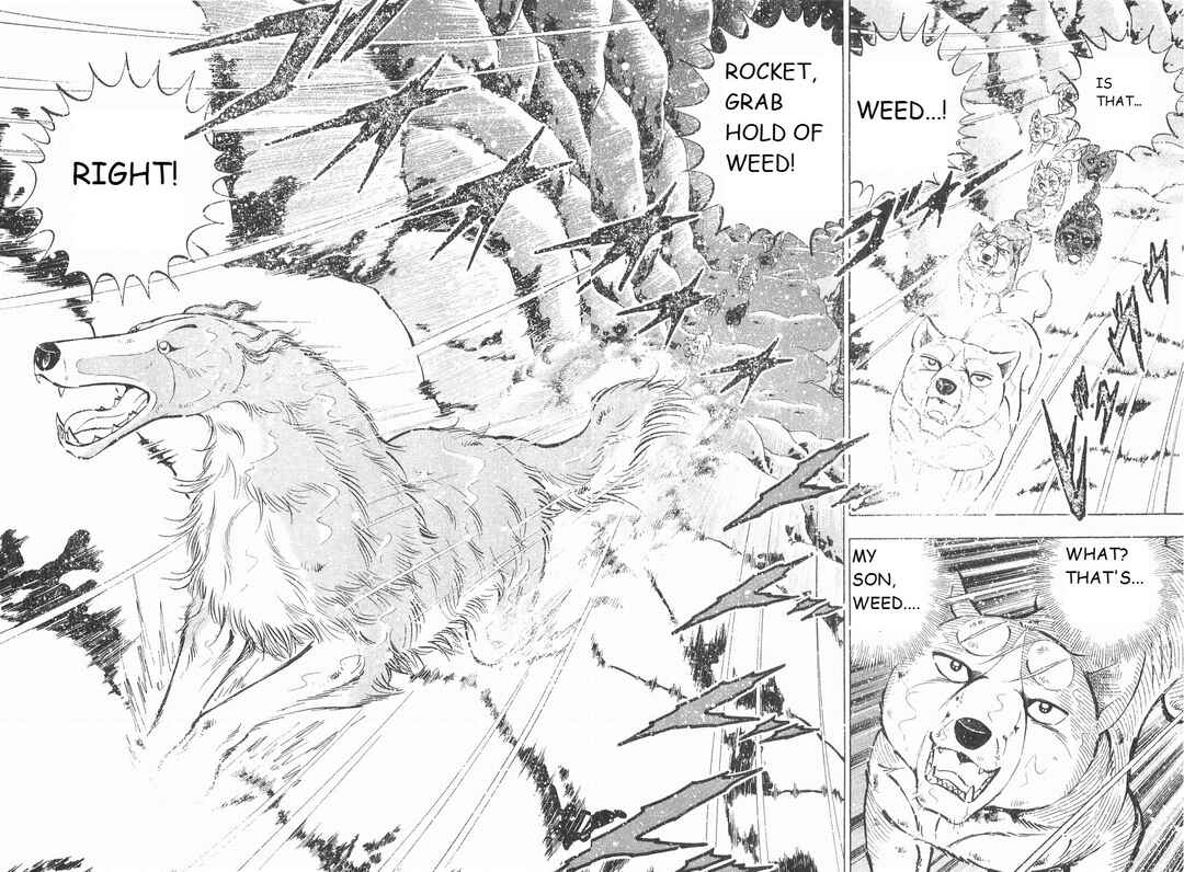 Page 6 Chapter 241 Ginga Densetsu Weed