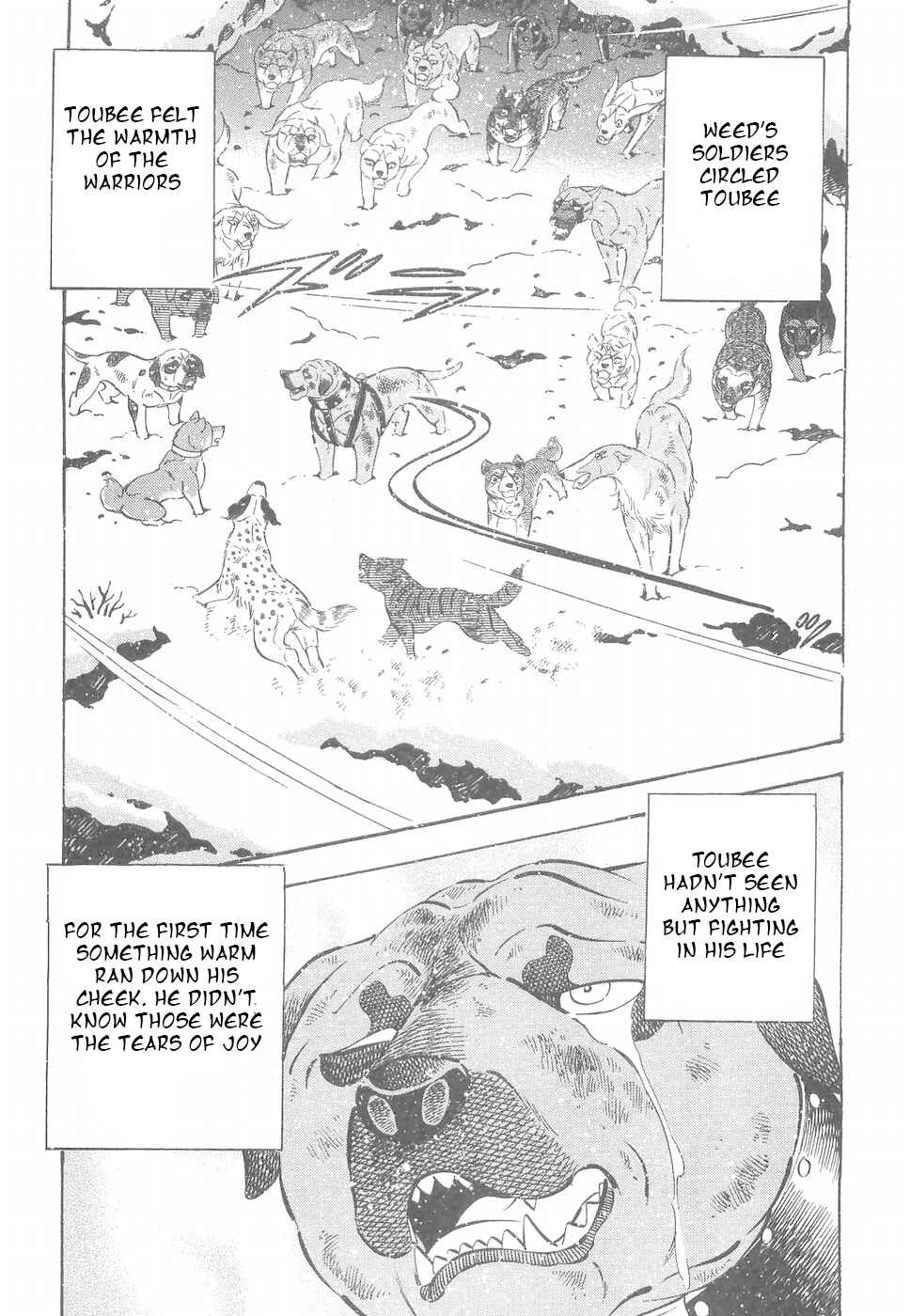 Page 19 Chapter 186 Ginga Densetsu Weed