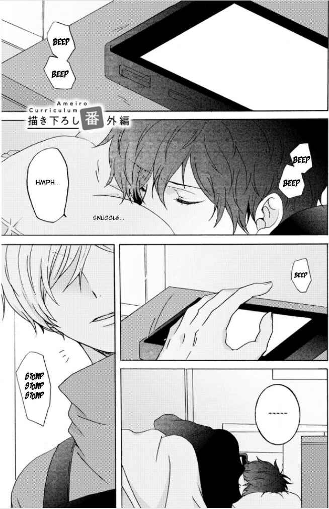 Page 2 Chapter 5.5 Ameiro Curriculum
