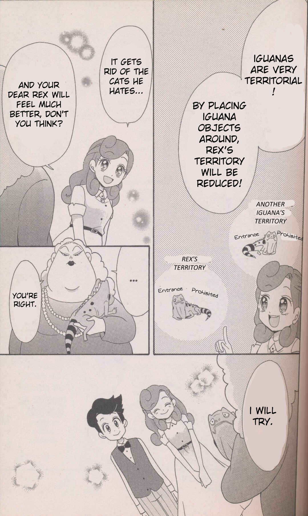Page 33 Chapter 5 Layton Mystery Detective Agency: Katris Puzzle Solving Files