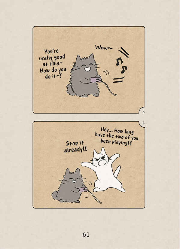 Page 13 Chapter 3 The Chastising Cat