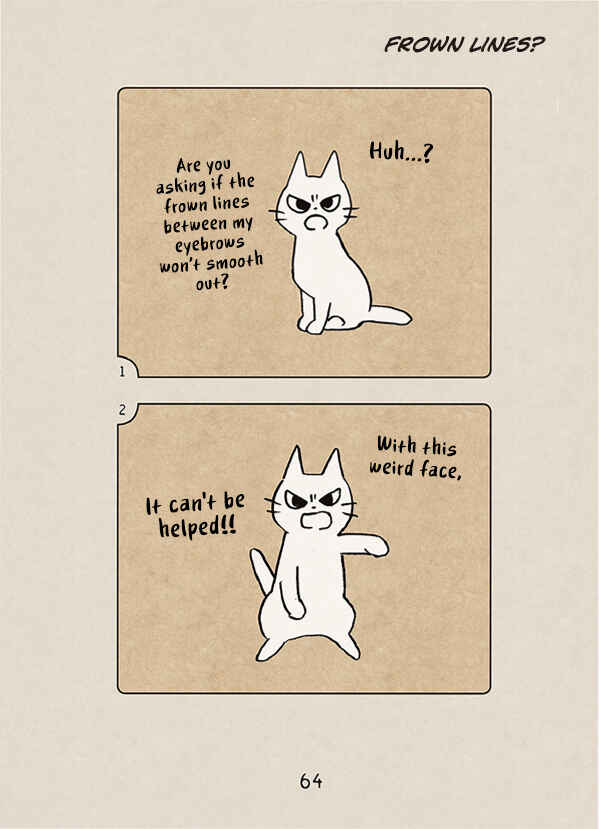 Page 16 Chapter 3 The Chastising Cat