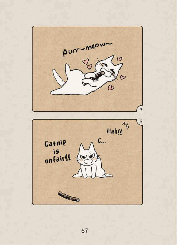 Page 19 Chapter 3 The Chastising Cat