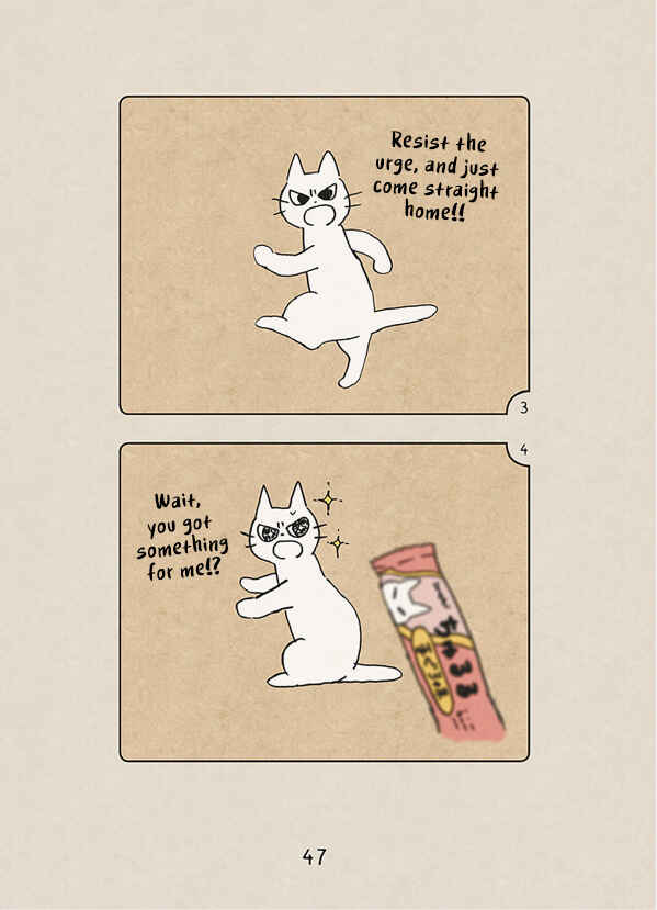 Page 17 Chapter 2 The Chastising Cat