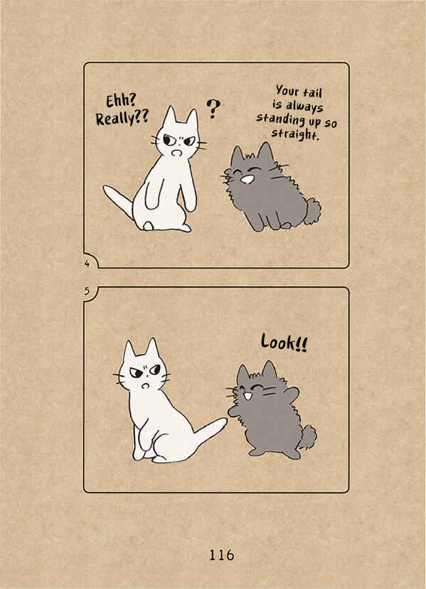 Page 3 Chapter 5.5 The Chastising Cat