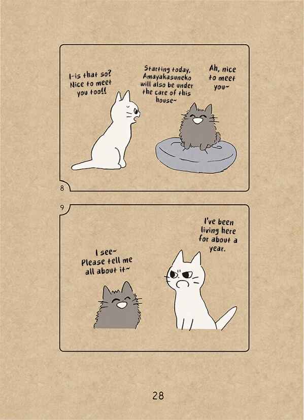 Page 5 Chapter 1.5 The Chastising Cat