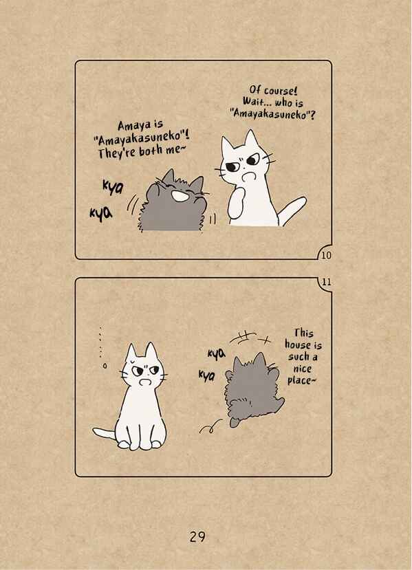 Page 6 Chapter 1.5 The Chastising Cat