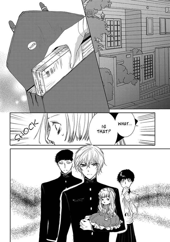 Page 11 Chapter 1.3 5 Cats
