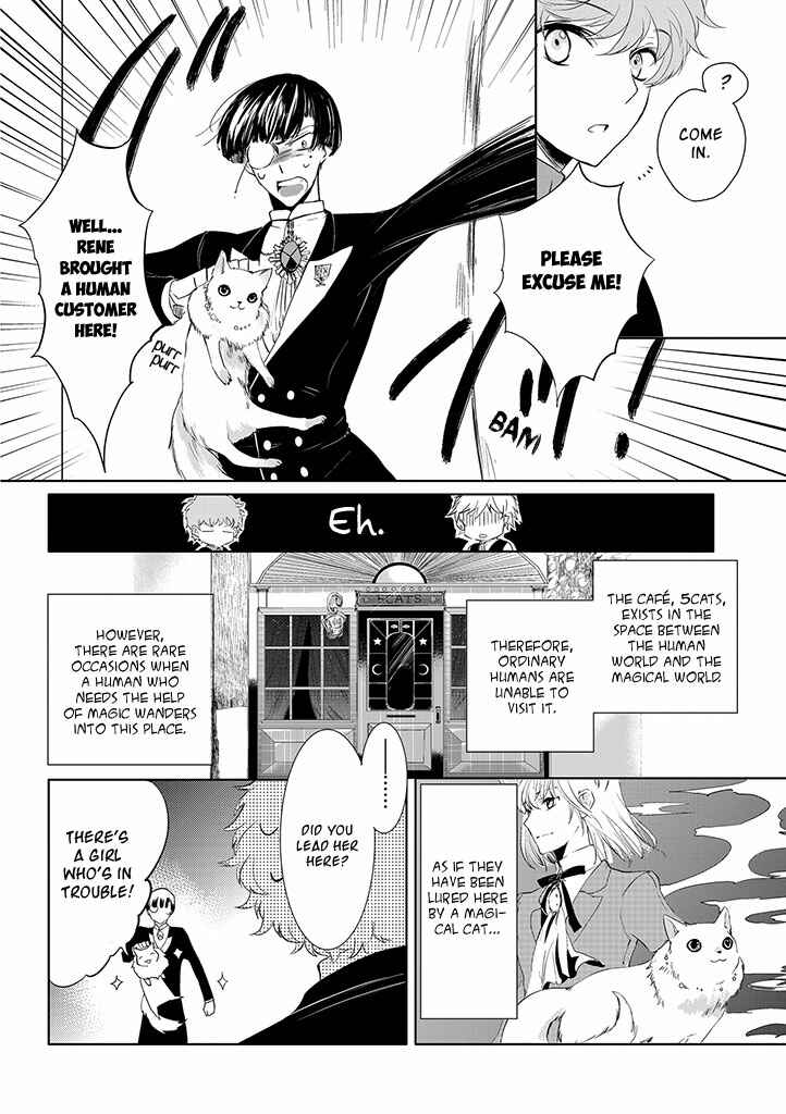 Page 19 Chapter 1.1 5 Cats