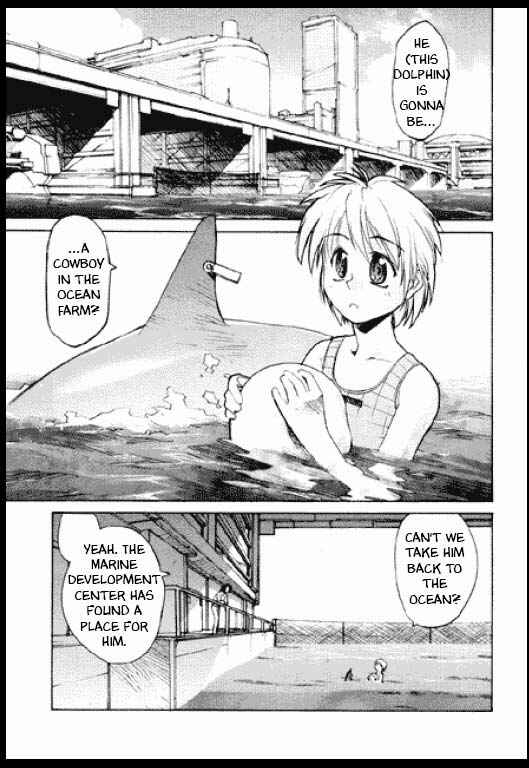Page 4 Chapter 4 Standard Blue