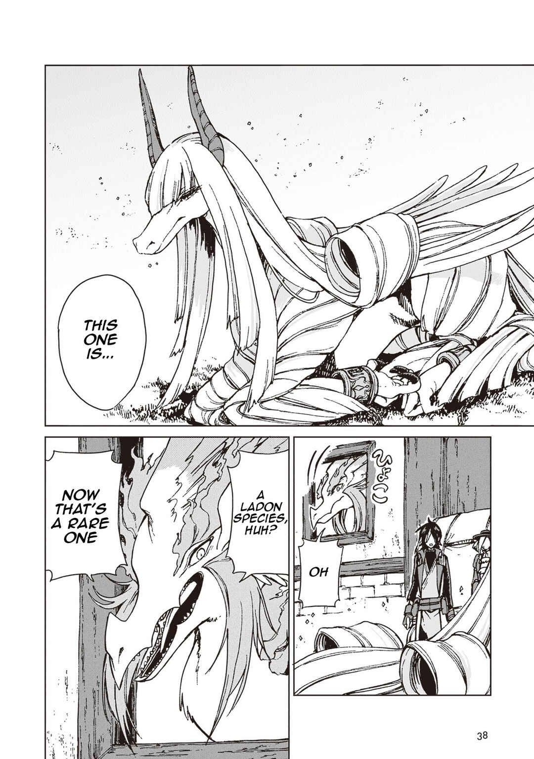 Page 5 Chapter 25 S-kyuu Guild wo Tsuihousareta kedo, Jitsu wa Ore dake Dragon no Kotoba ga Wakaru no de, Kidzuita Toki ni wa Ryuu Kishi no Chouten wo Kiwametemashita.