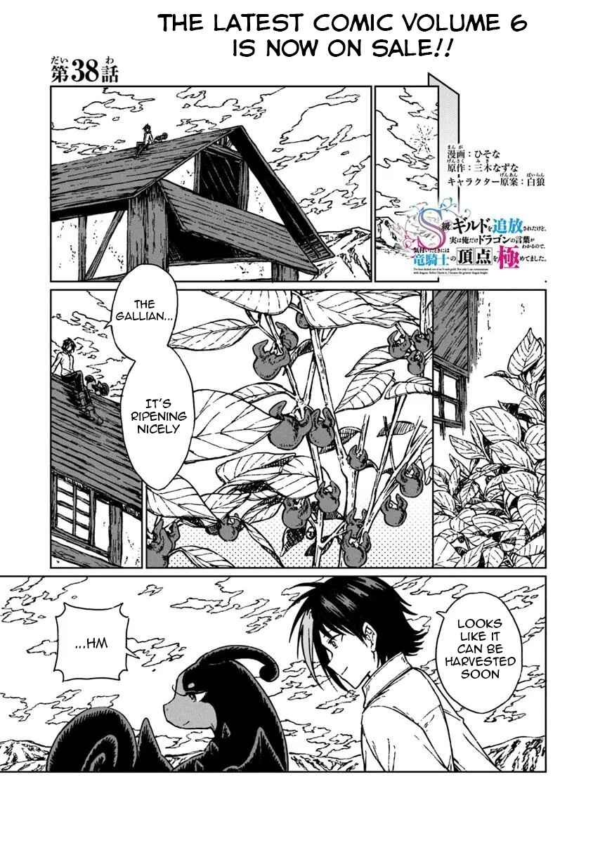 Page 2 Chapter 38 S-kyuu Guild wo Tsuihousareta kedo, Jitsu wa Ore dake Dragon no Kotoba ga Wakaru no de, Kidzuita Toki ni wa Ryuu Kishi no Chouten wo Kiwametemashita.