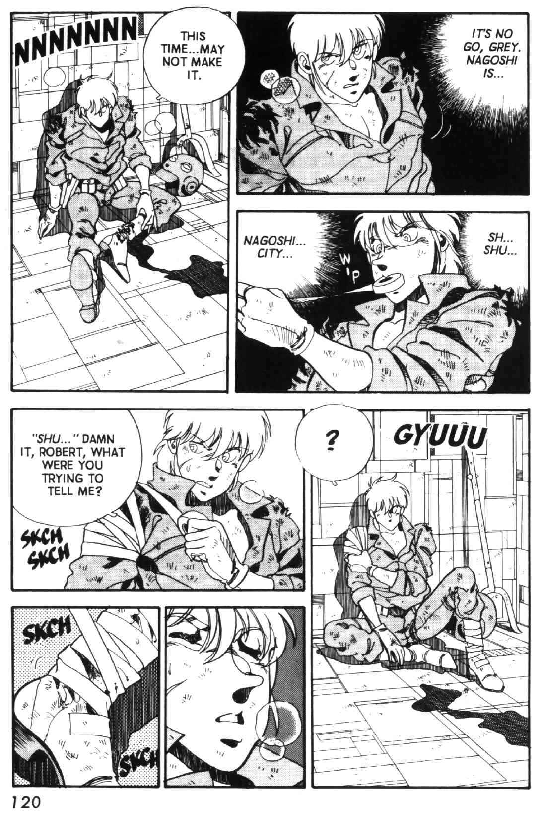 Page 18 Chapter 13 GREY