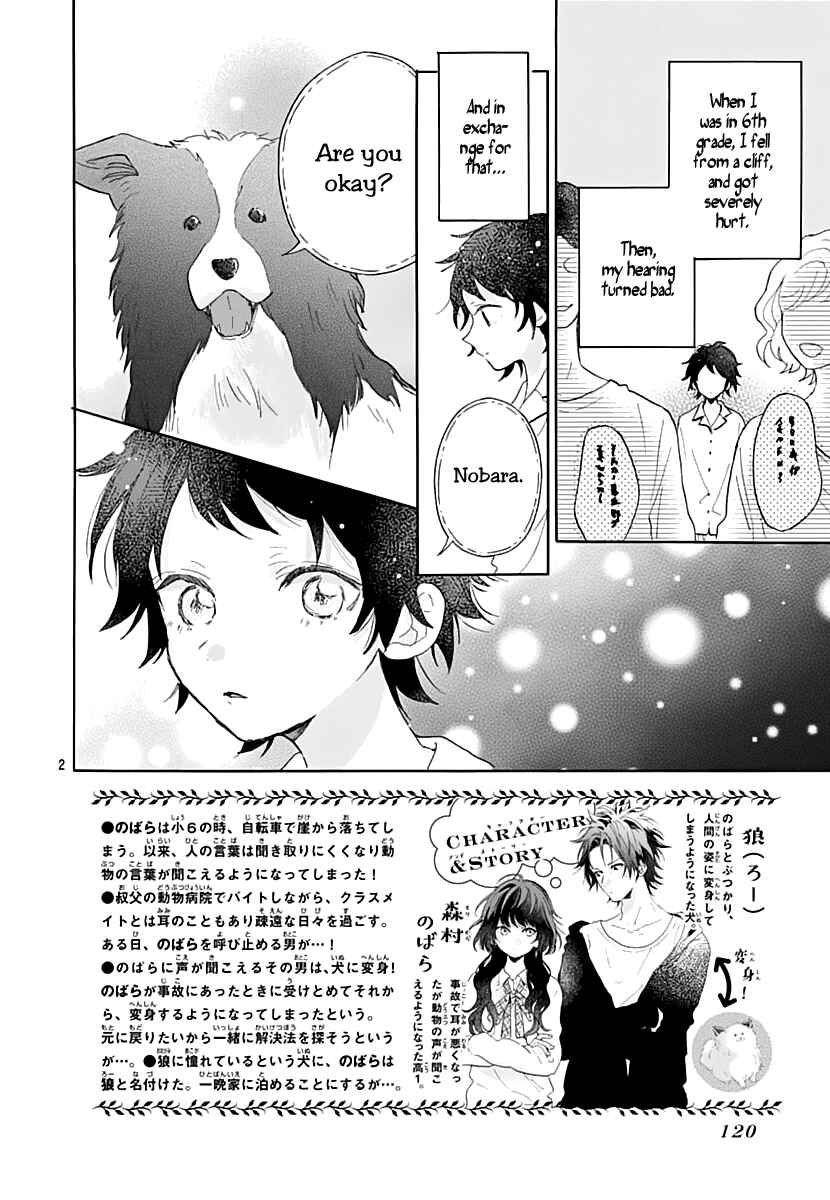 Page 3 Chapter 2 Kimi to Wonderland