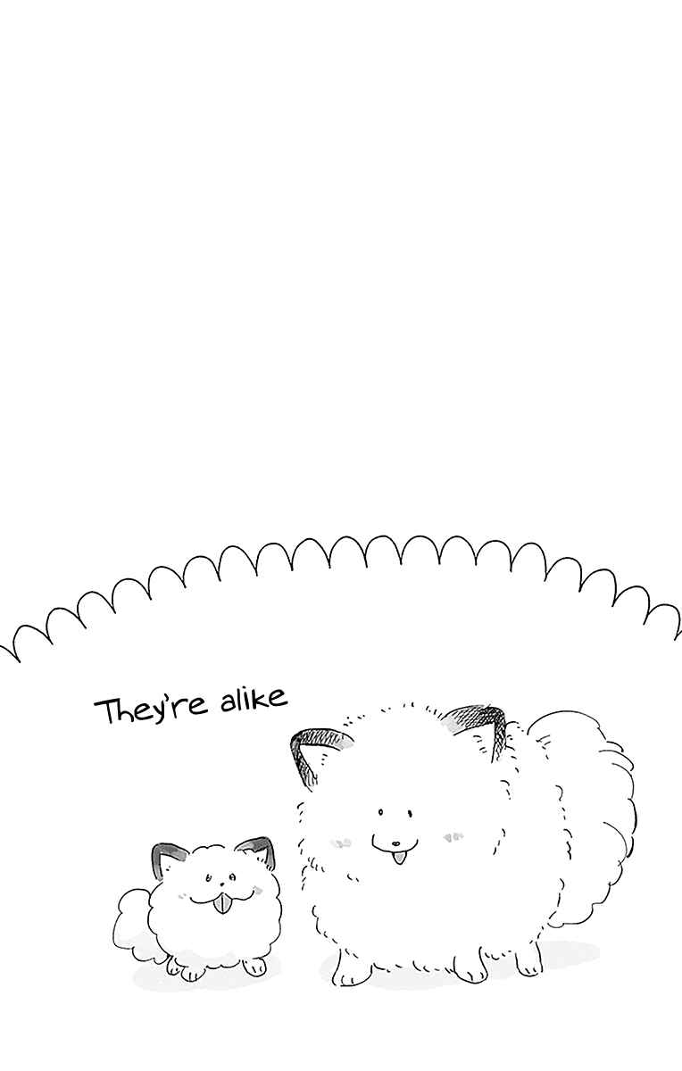 Page 12 Chapter 11.5 Kimi to Wonderland