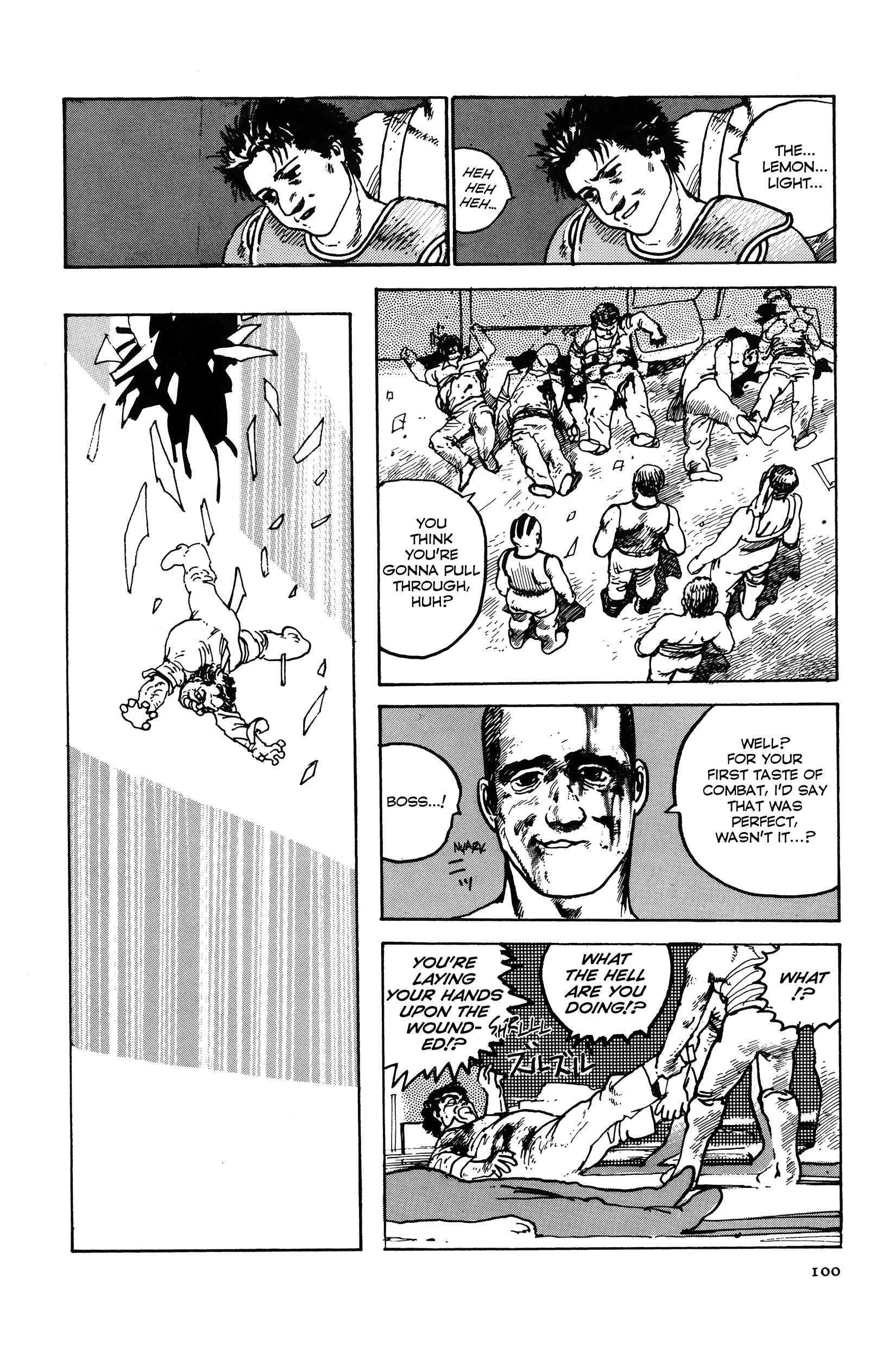 Page 48 Chapter 2 The Sultans Guard