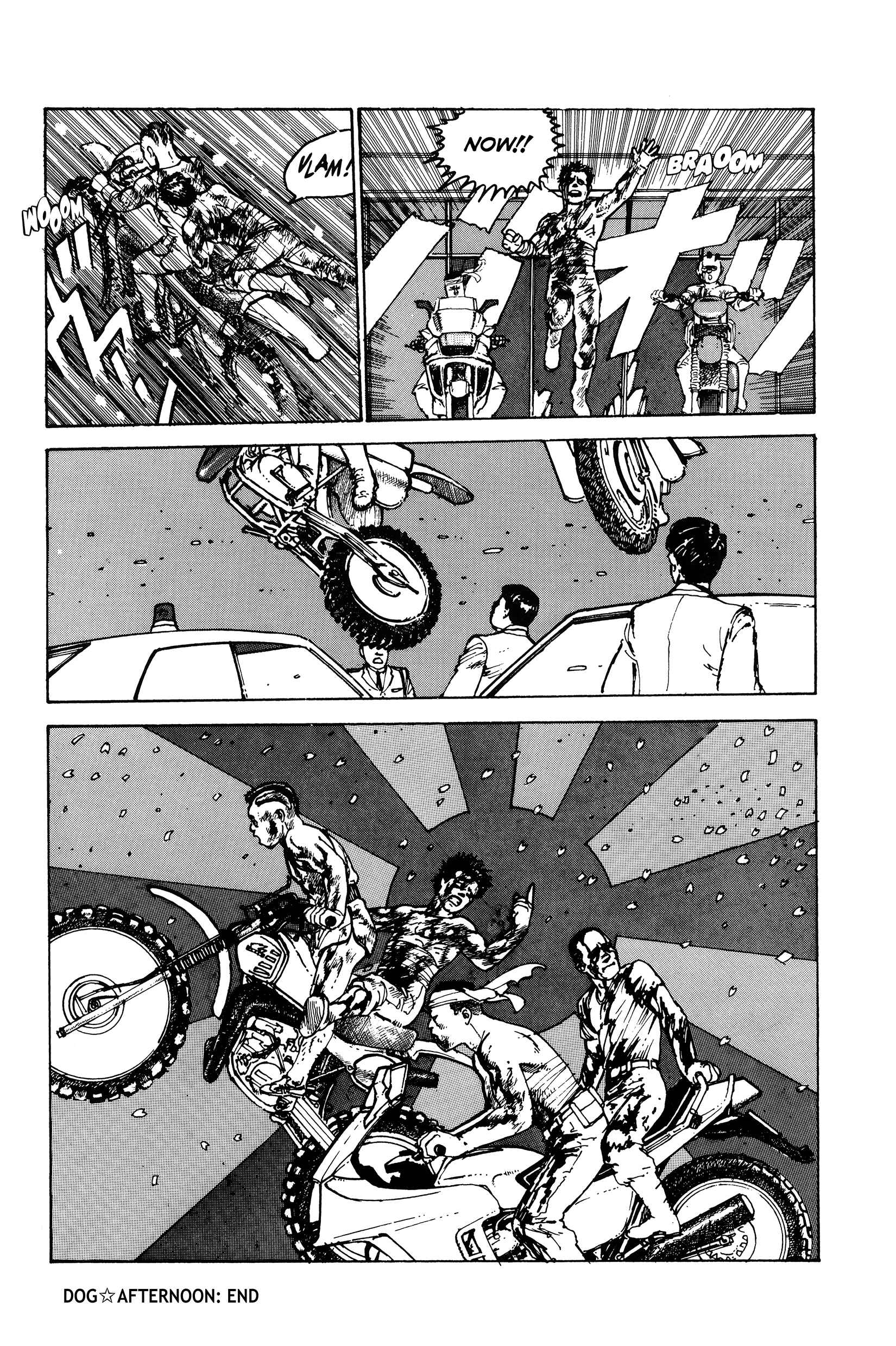 Page 51 Chapter 2 The Sultans Guard